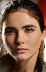 Арьенн Мэнди